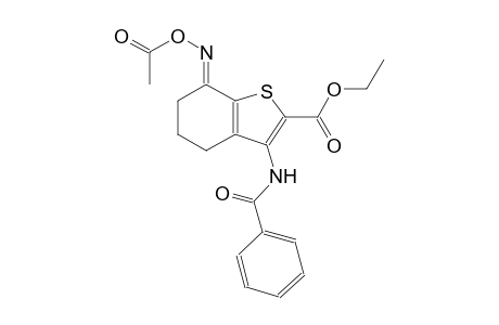 benzo[b]thiophene-2-carboxylic acid, 7-[(acetyloxy)imino]-3-(benzoylamino)-4,5,6,7-tetrahydro-, ethyl ester, (7E)-