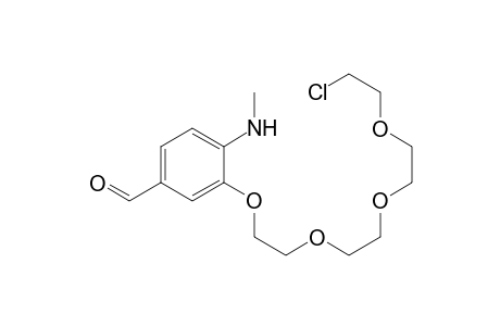 3-[2-[2-[2-(2-chloroethyloxy)ethoxy]ethoxy]ethoxy]-4-(methylamino)benzaldehyde