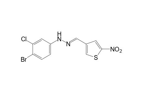 5-nitro-3-thiophenecarboxaldehyde, (4-bromo-3-chlorophenyl)hydrazone