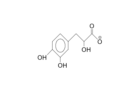 3-(3,4-Dihydroxyphenyl)-lactic acid, anion