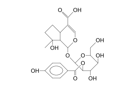 2'-(4-Hydroxy-benzoyl)-mussaenosidic acid