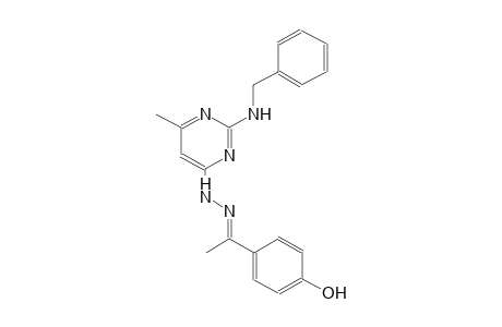 (1E)-1-(4-hydroxyphenyl)ethanone [2-(benzylamino)-6-methyl-4-pyrimidinyl]hydrazone