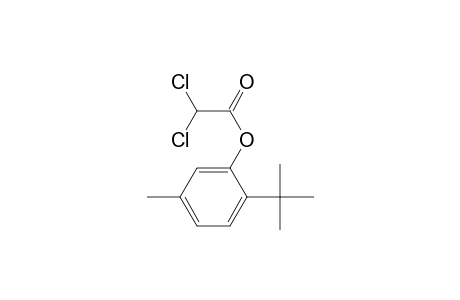 2-tert-Butyl-5-methylphenyl dichloroacetate