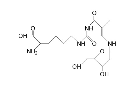 Lysine-thymidine reaction product