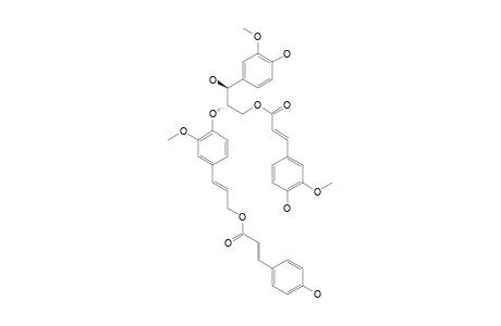 THREO-CAROLIGNAN-K;THREO-1-(4-HYDROXY-3-METHOXYPHENYL)-3-(4-HYDROXY-3-METHOXYCINNAMOYLOXY)-2-[4-[3-(4-HYDROXYCINNAMOYLOXY)-1-PROPENYL]-2-METHOXYPHE