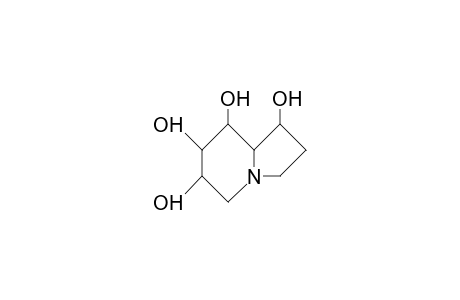 1,6,7,8-Tetrahydroxy-octahydro-indolizine