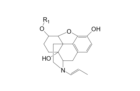 Naloxone-M (dihydro-glucuronide) isomer 1 MS2