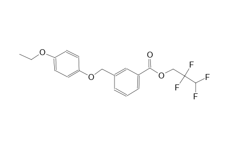 2,2,3,3-tetrafluoropropyl 3-[(4-ethoxyphenoxy)methyl]benzoate