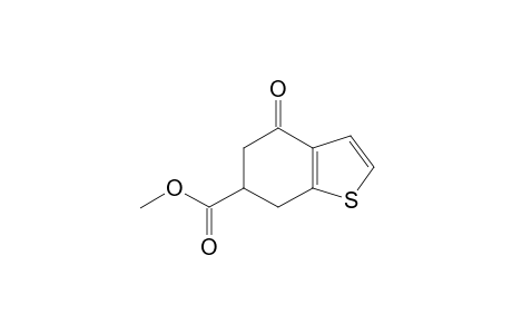 METHYL-4,5,6,7-TETRAHYDRO-4-OXOBENZO-[B]-THIOPHENE-6-CARBOXYLATE