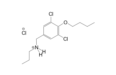 N-(4-butoxy-3,5-dichlorobenzyl)-1-propanaminium chloride