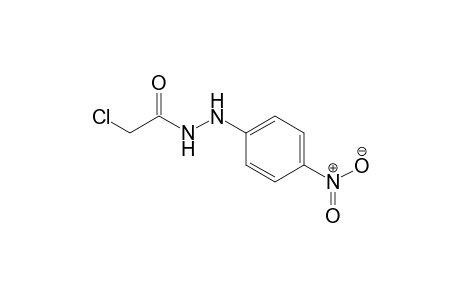 Acetic acid, 2-chloro-, 2-(4-nitrophenyl)hydrazide
