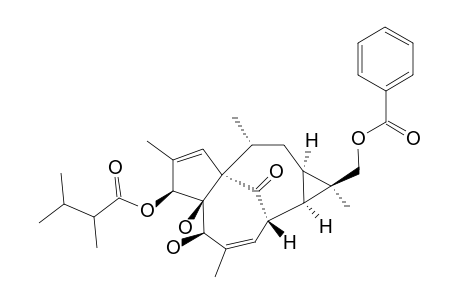 17-BENZOYLOXY-3-O-(2,3-DIMETHYLBUTANOYL)-20-DEOXYINGENOL