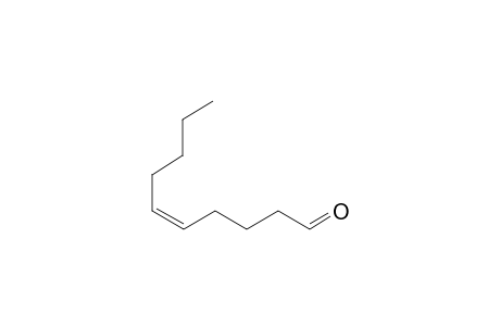 CIS-DEC-5-ENAL