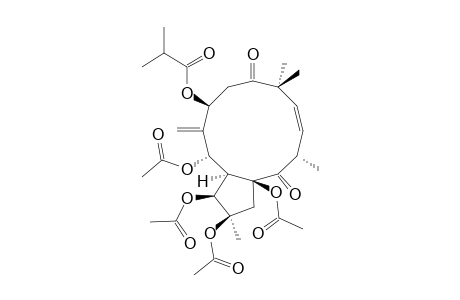 (2R*,3R*,4S*,5R*,7R*,13R*,15R*)-2,3,5,15-TETRAACETOXY-7-ISOBUTYROYLOXY-9,14-DIOXOJATROPHA-6(17),11-DIENE