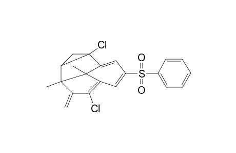 2,7-dichloro-5,12-dimethyl-6-methylene-10-(phenylsulphonyl)tetracyclo[6.3.1.0(2,4].0(5,12)]dodeca-7,9,11-triene