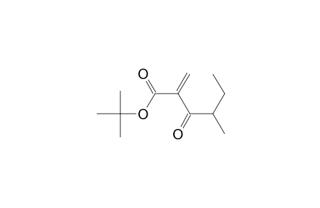 2-(2-Methylbutanoyl)acrylic acid tert-butyl ester