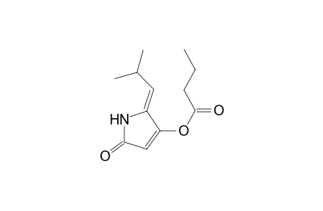 Butyric Acid 2,5-Dihydro-2(Z)-isobutylidene-5-oxo-1H-pyrrol-3-yl Ester