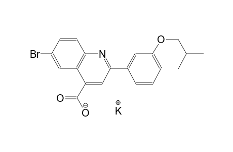 potassium 6-bromo-2-(3-isobutoxyphenyl)-4-quinolinecarboxylate