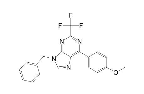 6-(4-methoxyphenyl)-9-(phenylmethyl)-2-(trifluoromethyl)purine