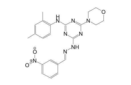 benzaldehyde, 3-nitro-, [4-[(2,4-dimethylphenyl)amino]-6-(4-morpholinyl)-1,3,5-triazin-2-yl]hydrazone