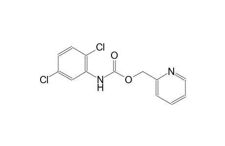 2-pyridinylmethyl 2,5-dichlorophenylcarbamate