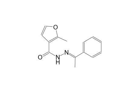 2-methyl-N'-[(E)-1-phenylethylidene]-3-furohydrazide