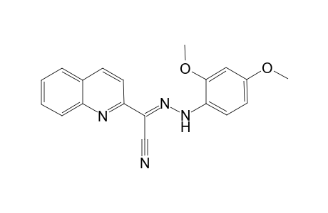 (2Z)-N-(2,4-dimethoxyanilino)quinoline-2-carboximidoyl cyanide