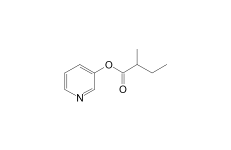 Pyridin-3-yl 2-methylbutanoate