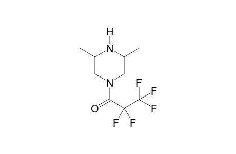 2,6-Dimethylpiperazine PFP