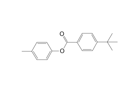 p-Tolyl 4-(Tert-Butyl)Benzoate