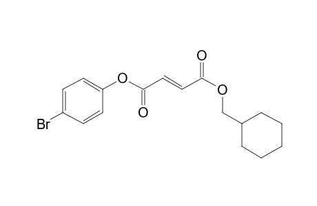 Fumaric acid, 4-bromophenyl cyclohexylmethyl ester