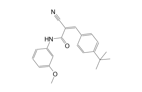 (2Z)-3-(4-tert-butylphenyl)-2-cyano-N-(3-methoxyphenyl)-2-propenamide