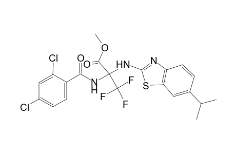2-[(2,4-dichlorobenzoyl)amino]-3,3,3-trifluoro-2-[(6-isopropyl-1,3-benzothiazol-2-yl)amino]propionic acid methyl ester