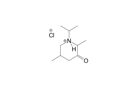 piperidinium, 2,5-dimethyl-1-(1-methylethyl)-3-oxo-, chloride