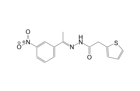 2-thiopheneacetic acid, 2-[(E)-1-(3-nitrophenyl)ethylidene]hydrazide