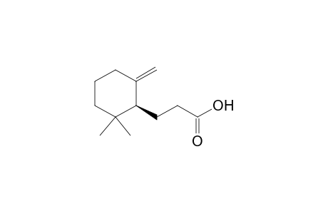 (+)-(S)-3-(2,2-Dimethyl-6-methylenecyclohexyl)propanoic acid