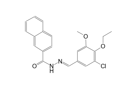 N'-[(E)-(3-chloro-4-ethoxy-5-methoxyphenyl)methylidene]-2-naphthohydrazide