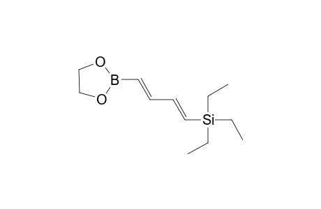 1-[(Triethylsilyl]-3-(1',3'-dioxaborinan-2'-yl)buta-1,3-diene
