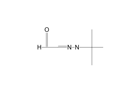 GLYOXAL, MONO(tert-BUTYLHYDRAZONE) (Z-S-E ISOMER)