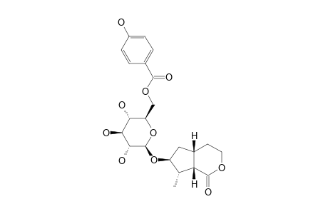 OVATOLACTONE-7-O-(6'-O-PARA-HYDROXYBENZOYL)-BETA-D-GLUCOPYRANOSIDE