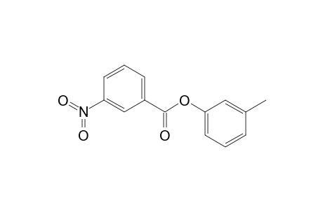3-Nitrobenzoic acid (3-methylphenyl) ester