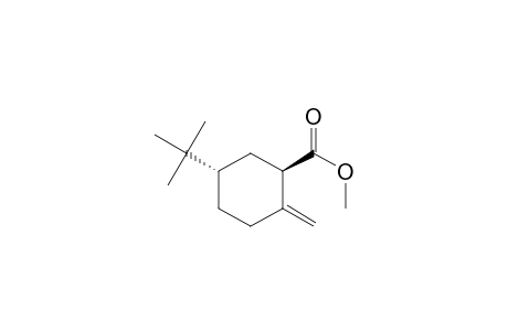 Cyclohexanecarboxylic acid, 5-(1,1-dimethylethyl)-2-methylene-, methyl ester, trans-