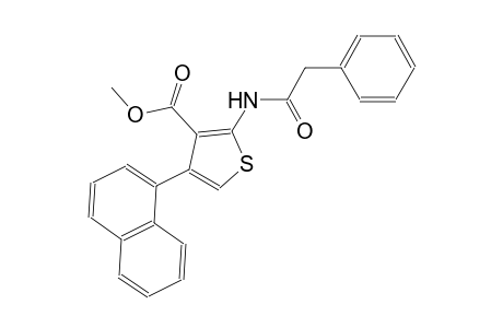 methyl 4-(1-naphthyl)-2-[(phenylacetyl)amino]-3-thiophenecarboxylate