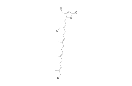 HIPPOLIDE_F