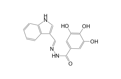 3,4,5-trihydroxy-N'-[(E)-1H-indol-3-ylmethylidene]benzohydrazide