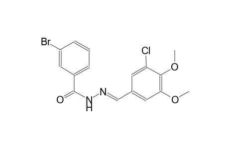 3-bromo-N'-[(E)-(3-chloro-4,5-dimethoxyphenyl)methylidene]benzohydrazide