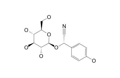 [2S-BETA-D-GLUCOPYRANOSYLOXY-2-(4-HYDROXY)-PHENYLACETONITRILE];DHURRIN