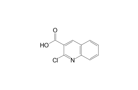 2-Chloro-3-quinolinecarboxylic acid