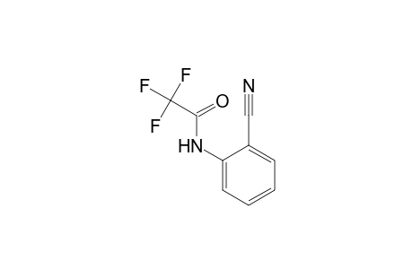 Acetamide, N-(2-cyanophenyl)-2,2,2-trifluoro-