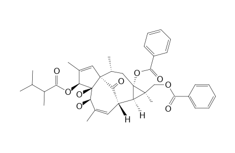 13,17-DIBENZOYLOXY-3-O-(2,3-DIMETHYLBUTANOYL)-20-DEOXYINGENOL
